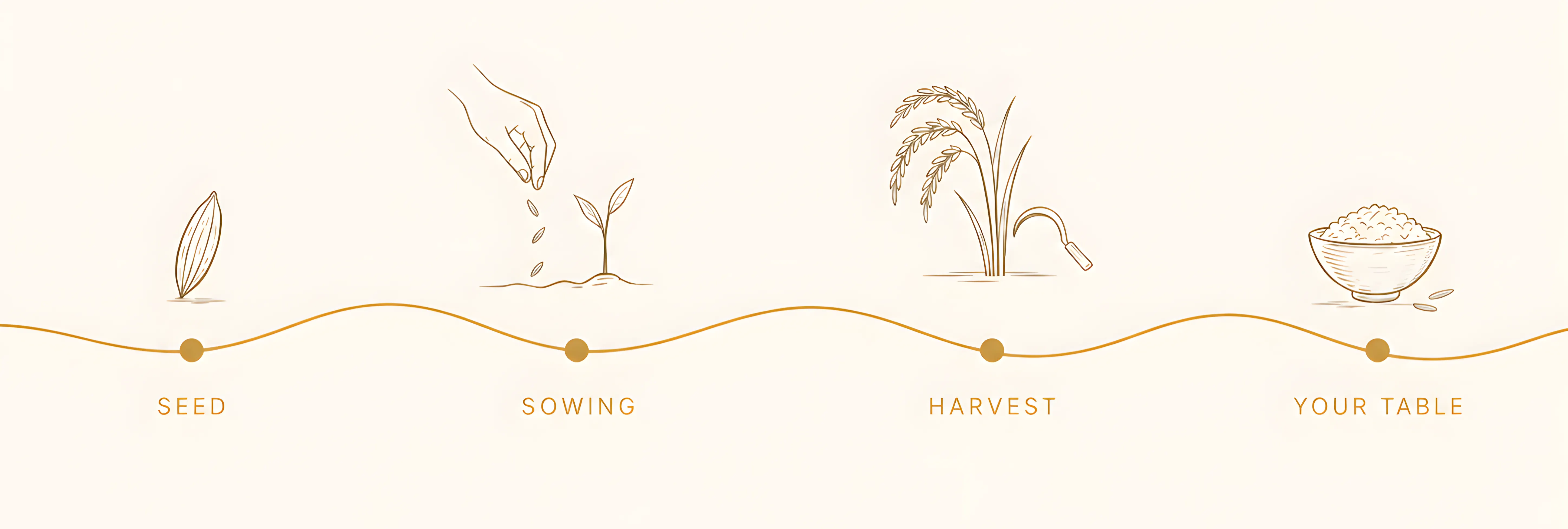 The Journey of a Grain